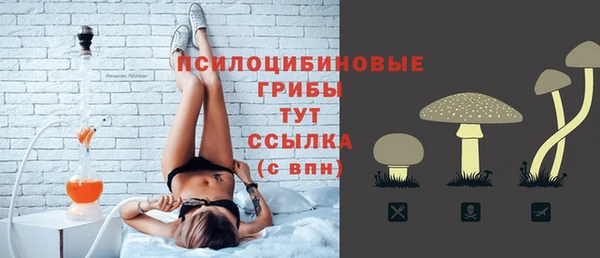 ALPHA PVP Медвежьегорск