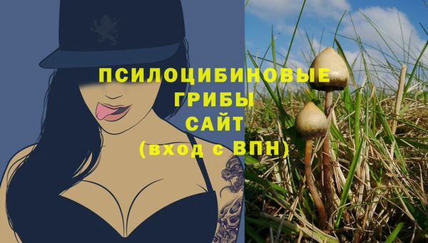ALPHA PVP Медвежьегорск