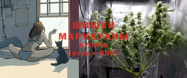 ALPHA PVP Медвежьегорск