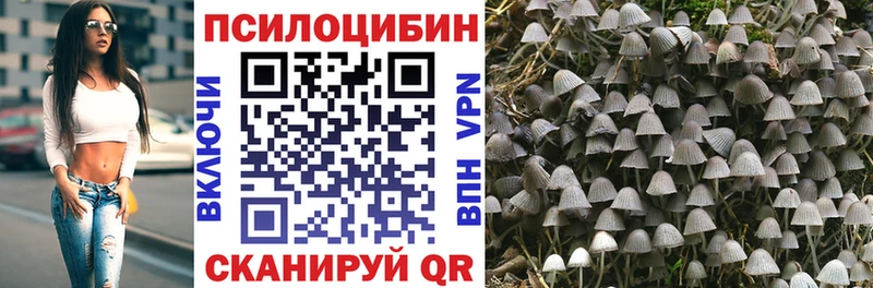 Галлюциногенные грибы Magic Shrooms  Томск 
