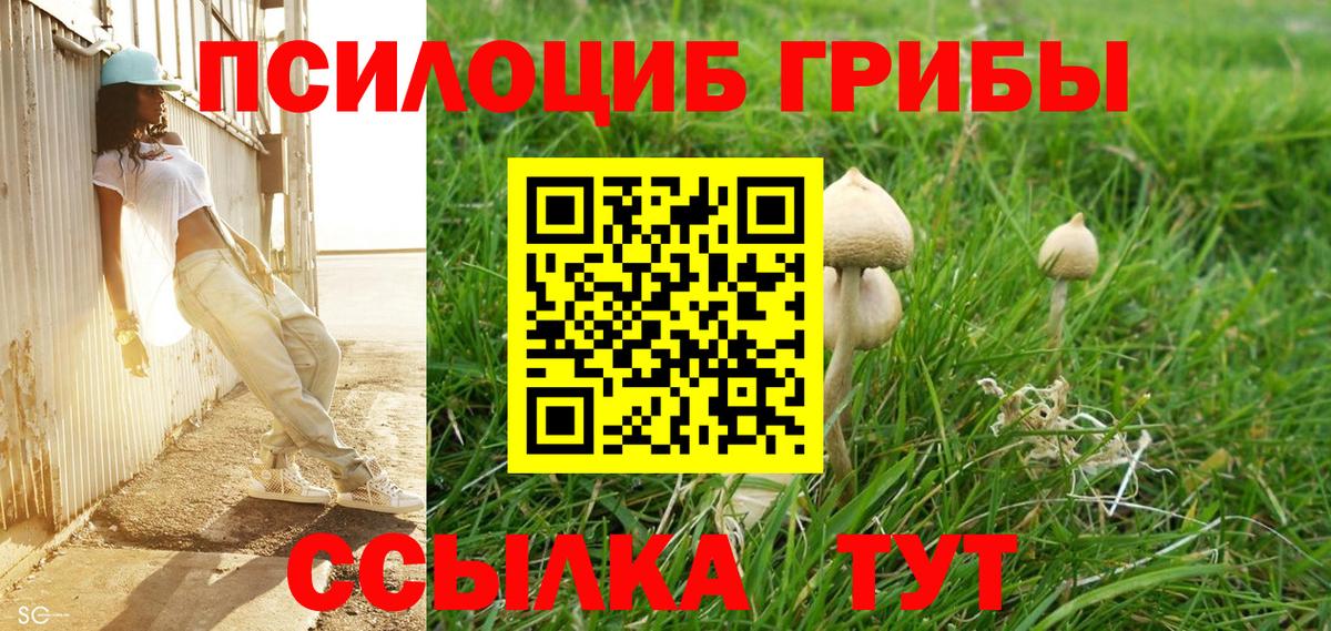 Псилоцибиновые грибы Томск