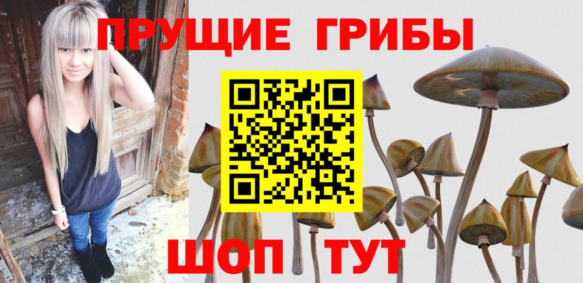 Псилоцибиновые грибы Psilocybe  Вход с VPN  Псилоцибиновые грибы мицелий  Томск 